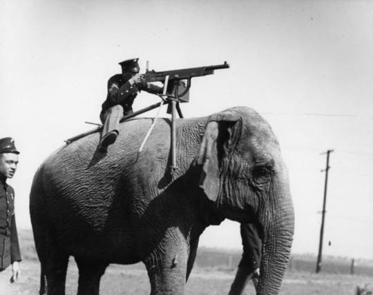 عکس/فیلی مسلح به مسلسل (۱۹۰۴م)!