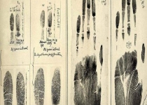 نخستین انگشت نگاری + عکس