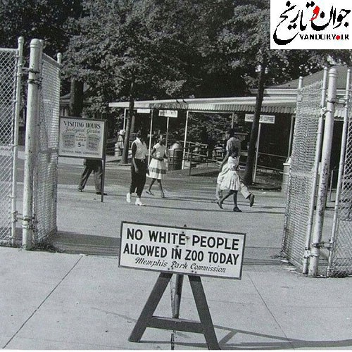 روز بازدید سیاهپوستان از باغ وحش/عکس