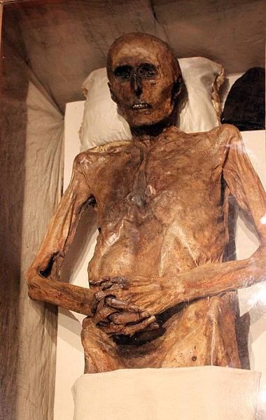 سالم ماندن جنازه شوالیه نانجیب+تصویر جنازه