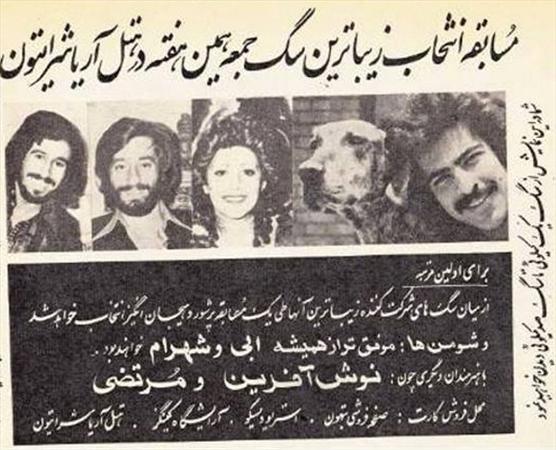 جراید/ مسابقه انتخاب زیباتری سگ!