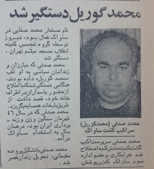 گوریل دستگیر شد/ عکس