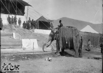 فیل بانی در دوره قاجاریه