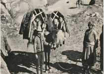 مصائب مارکوپلو شدن در ایران