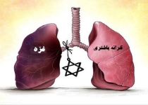 شریان های غزه گرفته است
