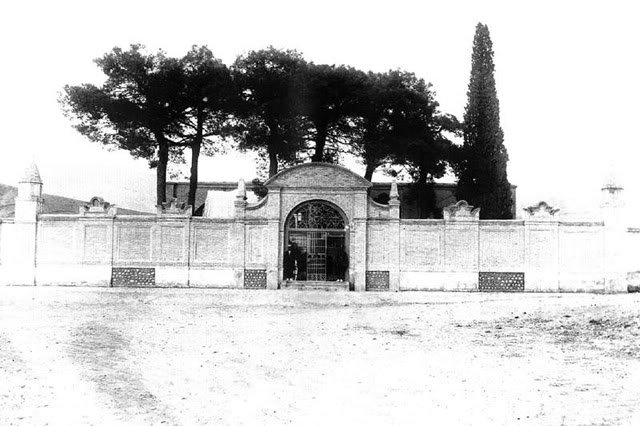 عکس/ سعدیه شیراز