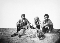 عکس/شغل شیرگیر در دوران قاجار