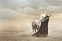 سرنوشت قاتلان امام حسین(ع) چه شد؟