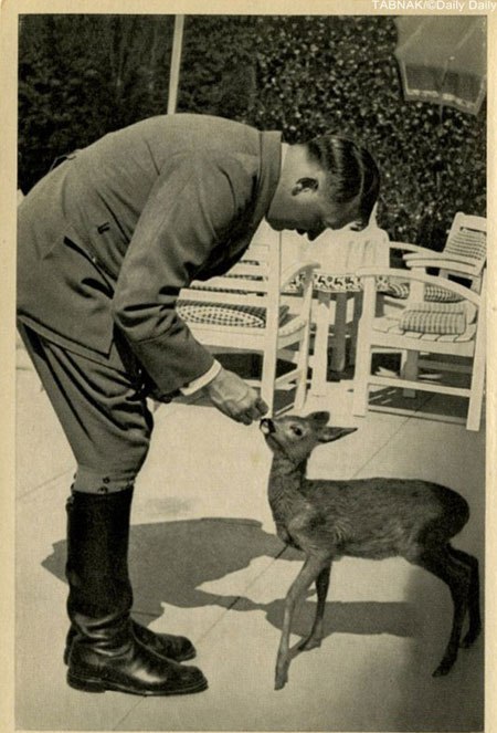 هیتلر دوست حیوانات!