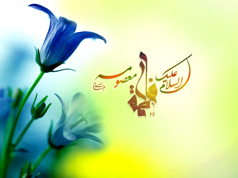 علت ازدواج‌نکردن حضرت‎معصومه(س) چه بود؟