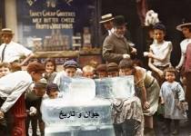 یخ فروش نیویورکی/عکس