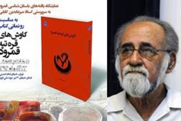 تجلیل از نیم قرن فعالیت‌‌های باستان‌شناسی کابلی