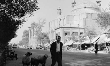 مردی باگوسفندانش در خیابانهای طهران